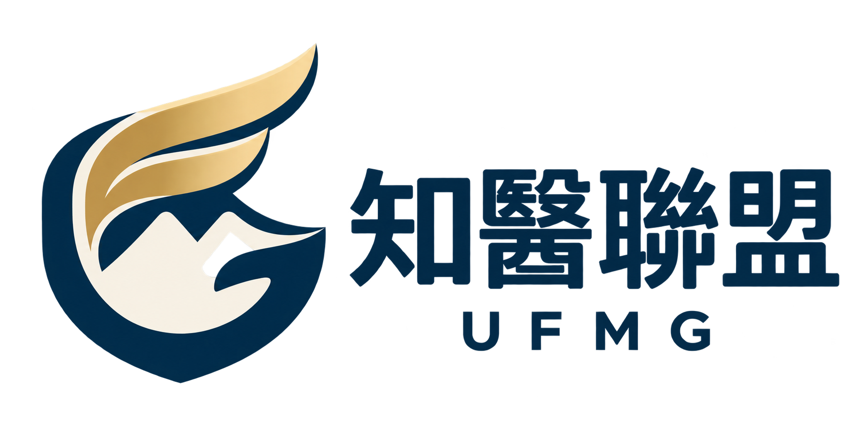 知醫聯盟 UFMG 微笑之翼